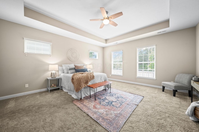 5508 Camlin Pl W Unit 48, Westerville, OH 43081 - bedroom featuring a tray ceiling, carpet flooring, and a ceiling fan