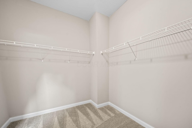 5508 Camlin Pl W Unit 48, Westerville, OH 43081 - spacious closet with carpet floors