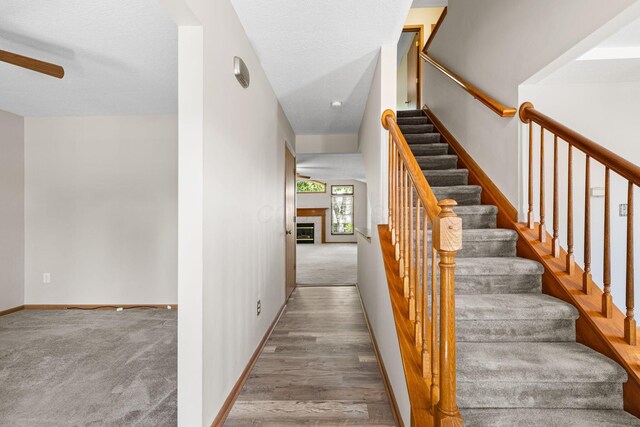 127 Seatrain Dr, Delaware, OH 43015 - photo 23