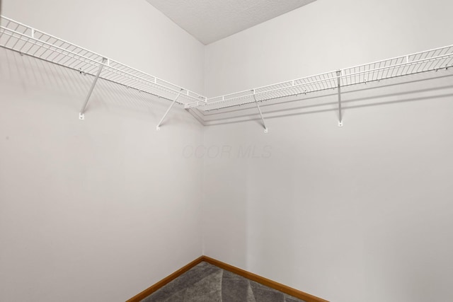 127 Seatrain Dr, Delaware, OH 43015 - photo 60
