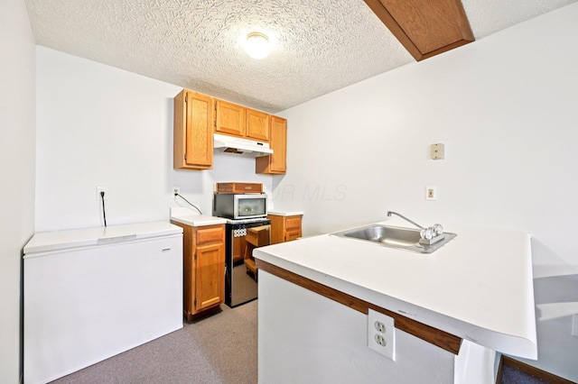 5138 Eastbend Dr, Canal Winchester, OH 43110 - kitchen with white fridge, under cabinet range hood, light carpet, light countertops, and a textured ceiling