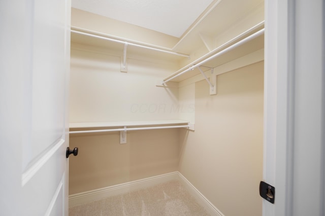 7788 Boylston Ct, Dublin, OH 43016 - spacious closet with carpet