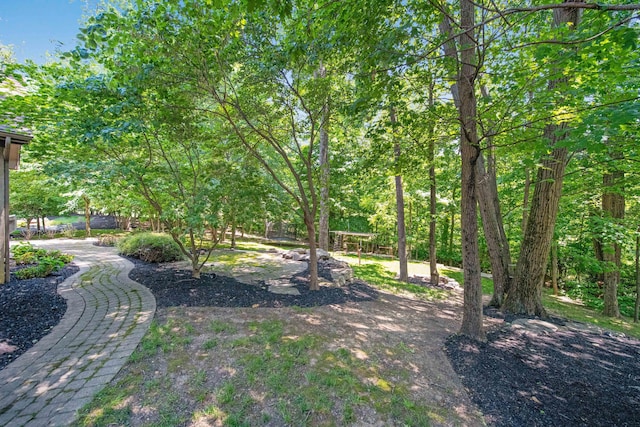 7788 Boylston Ct, Dublin, OH 43016 - view of yard
