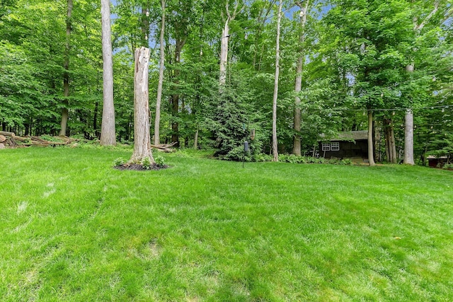 520 Grand Ridge Dr, Howard, OH 43028 - photo 52