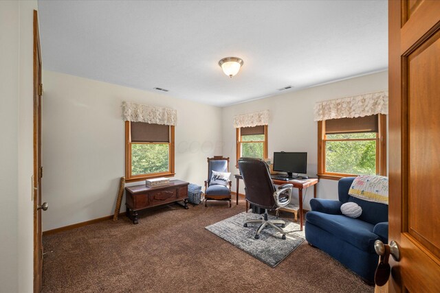 15114 Payne Rd, Marysville, OH 43040 - photo 29