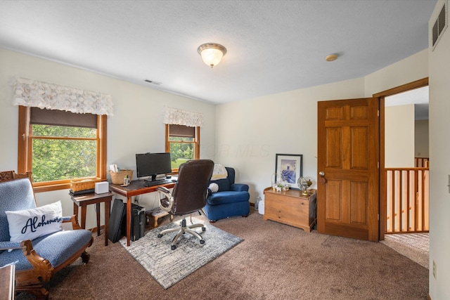 15114 Payne Rd, Marysville, OH 43040 - photo 30