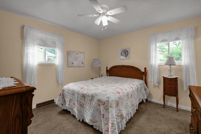 9747 Shalemar Dr, Pickerington, OH 43147 - photo 26