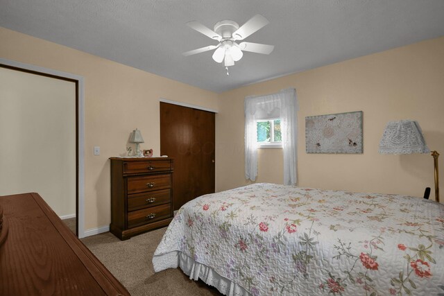 9747 Shalemar Dr, Pickerington, OH 43147 - photo 28