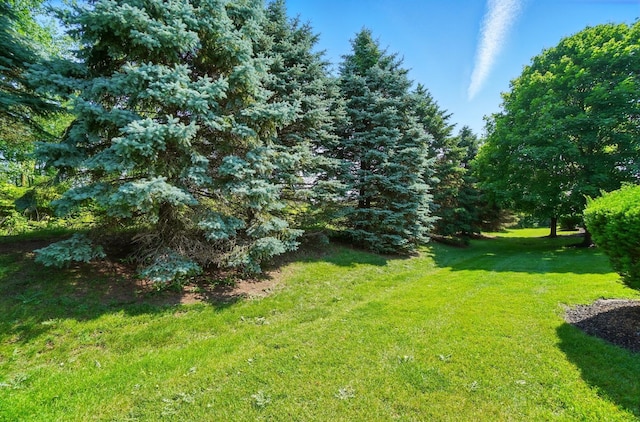6235 Hampton Green Pl Unit 5B, Dublin, OH 43016 - view of green lawn