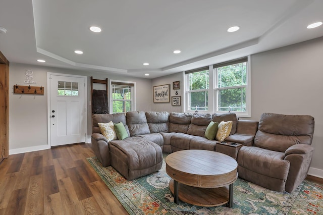 1859 State Route 257 N, Ostrander, OH 43061 - living area with a raised ceiling, wood finished floors, and recessed lighting