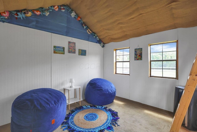 1859 State Route 257 N, Ostrander, OH 43061 - workout area with lofted ceiling, wooden walls, and carpet
