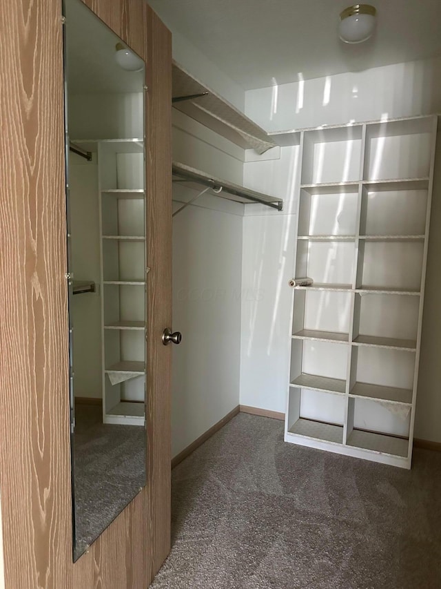 2328 Willowside Ln, Grove City, OH 43123 - walk in closet with carpet floors
