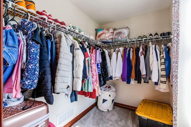 729 Lilly Landing Ln, Blacklick, OH 43004 - spacious closet featuring carpet floors