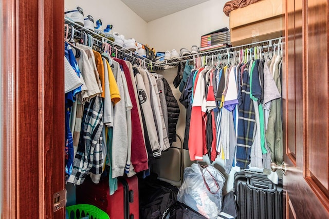 729 Lilly Landing Ln, Blacklick, OH 43004 - view of spacious closet