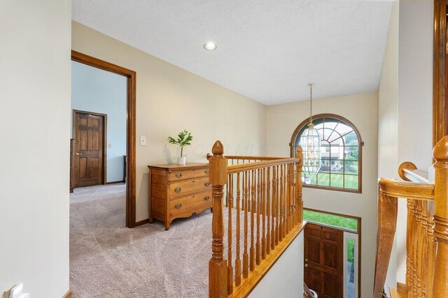 5926 Shadow Creek Dr, Westerville, OH 43082 - photo 19
