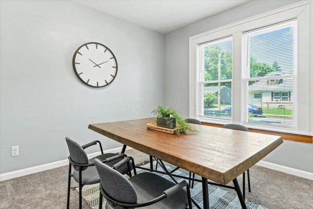 364 Clarendon Ave, Columbus, OH 43223 - dining area featuring carpet