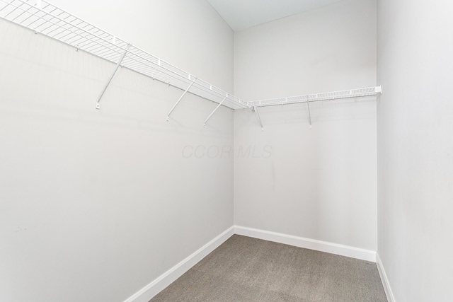 825 N 4th St Unit 307, Columbus, OH 43215 - photo 20