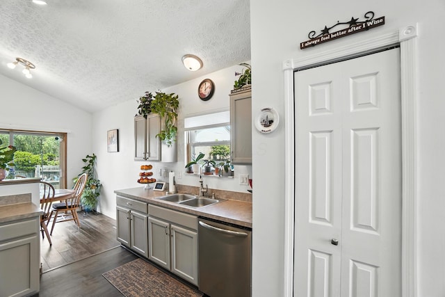 906 Linkfield Dr, Columbus, OH 43085 - kitchen featuring dishwasher, a textured ceiling, gray cabinetry, lofted ceiling, and dark wood-type flooring