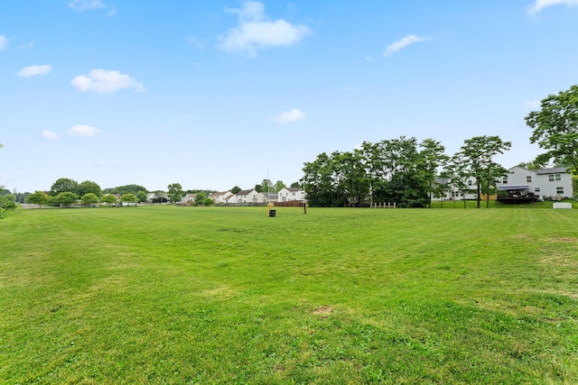 3550 Whisper Creek Dr, Columbus, OH 43231 - view of green lawn