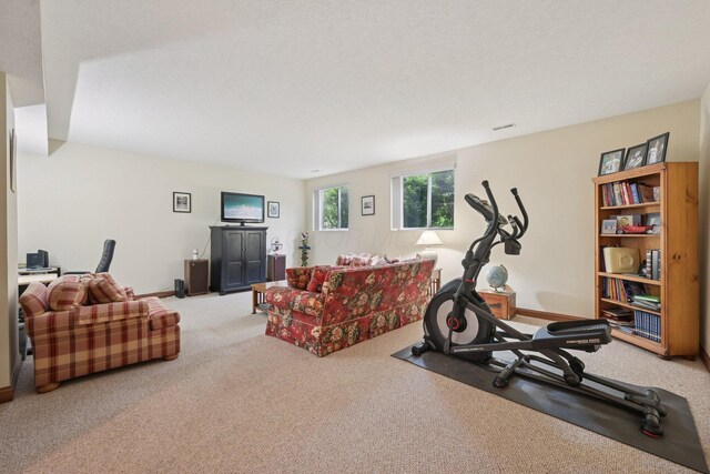 13946 Bainwick Dr NW, Pickerington, OH 43147 - workout room with carpet flooring and baseboards
