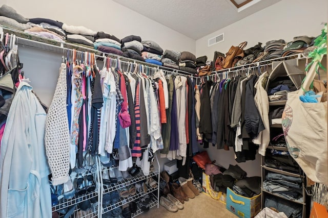 13946 Bainwick Dr NW, Pickerington, OH 43147 - walk in closet featuring carpet flooring