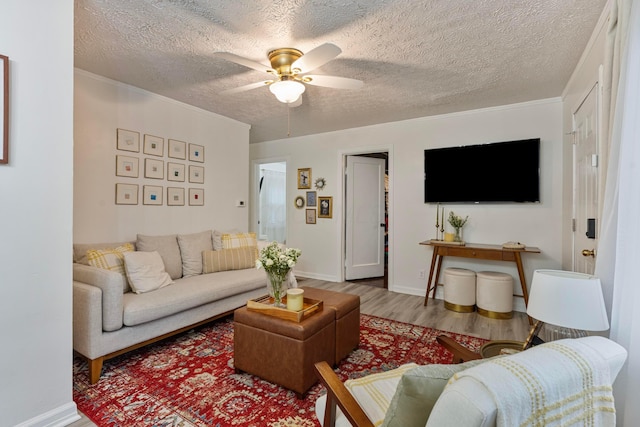 3029 Mcguffey Rd, Columbus, OH 43224 - living room with wood finished floors, a ceiling fan, a textured ceiling, and crown molding