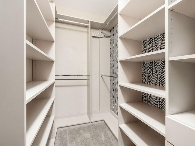 51 N High St Unit 804, Columbus, OH 43215 - view of spacious closet