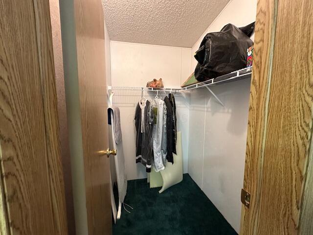 10830 Voris Rd, Logan, OH 43138 - walk in closet with carpet flooring
