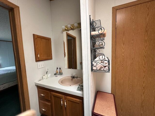 10830 Voris Rd, Logan, OH 43138 - bathroom with vanity and ensuite bathroom
