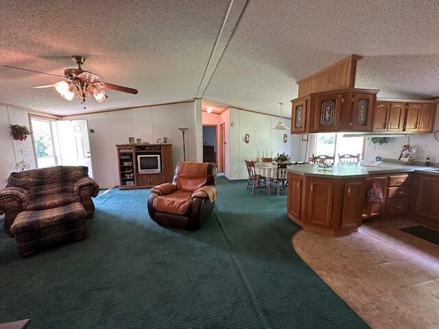 10830 Voris Rd, Logan, OH 43138 - carpeted living area featuring a textured ceiling and a ceiling fan