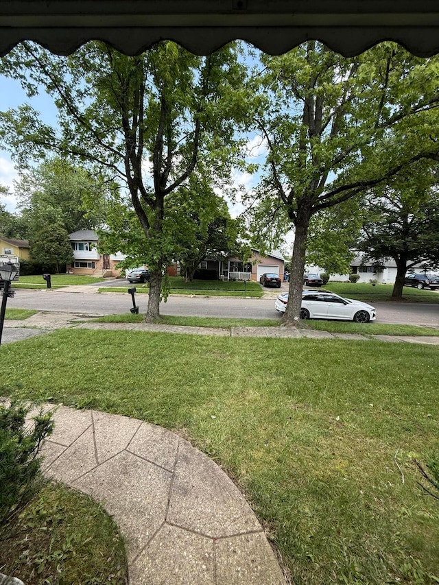 3391 Compton Dr, Columbus, OH 43219 - view of green lawn