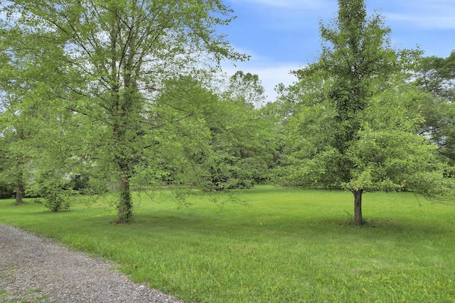285 E Broad St, Pataskala, OH 43062 - view of grassy yard