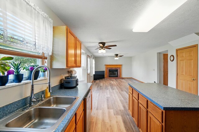 8578 Bivouac Pl, Galloway, OH 43119 - kitchen featuring dark countertops, a ceiling fan, stainless steel dishwasher, light wood finished floors, and a textured ceiling