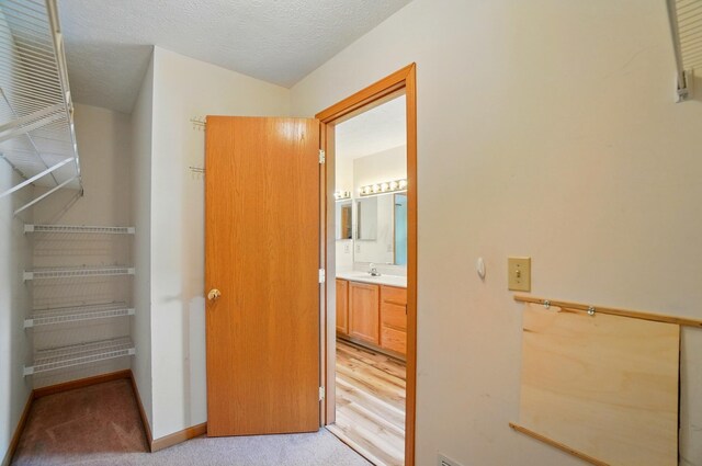 8578 Bivouac Pl, Galloway, OH 43119 - walk in closet with light carpet