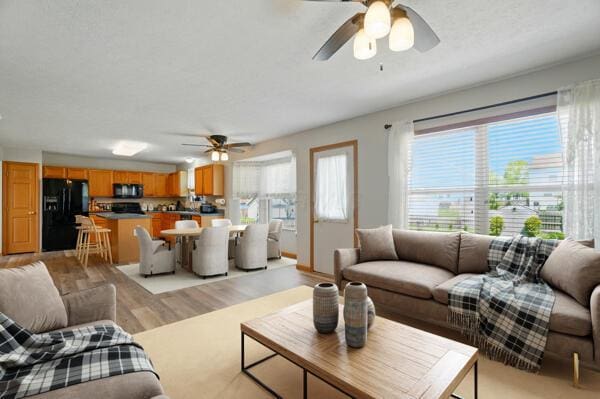 8578 Bivouac Pl, Galloway, OH 43119 - living room with ceiling fan and light wood-style flooring