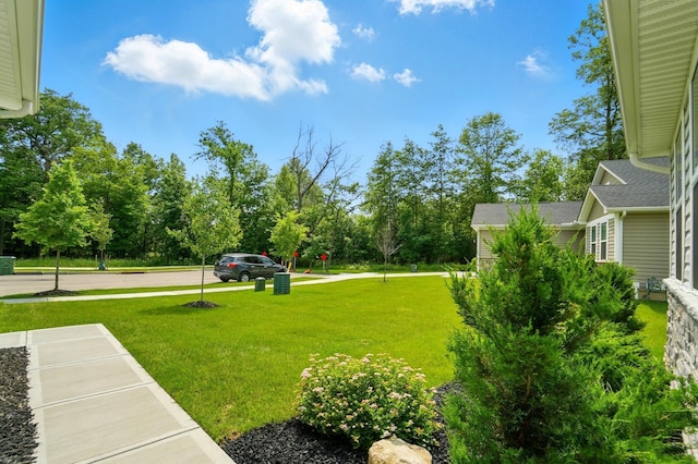 900 Buchloe Dr, Marysville, OH 43040 - photo 7