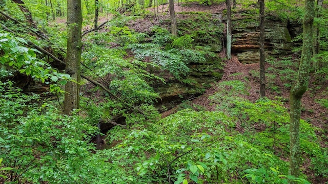 24000 State Route 180, Rockbridge, OH 43149 - view of wooded area