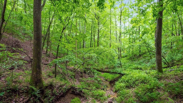 24000 State Route 180, Rockbridge, OH 43149 - view of woods
