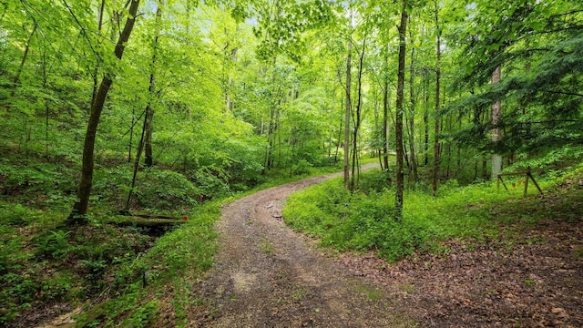 24000 State Route 180, Rockbridge, OH 43149 - view of road featuring a view of trees