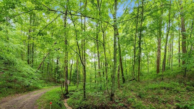 24000 State Route 180, Rockbridge, OH 43149 - view of woods