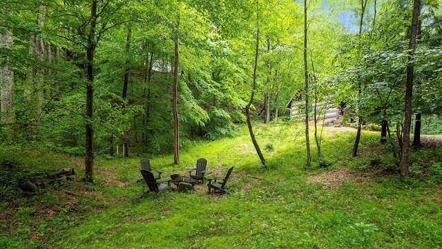24000 State Route 180, Rockbridge, OH 43149 - view of yard featuring a view of trees and a fire pit