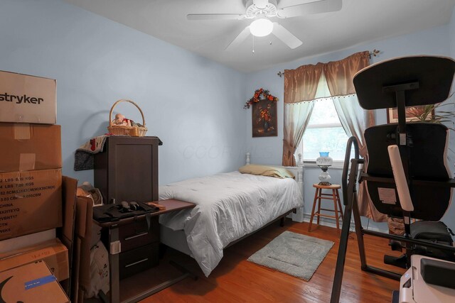 568 Swackhammer Rd, Circleville, OH 43113 - bedroom featuring wood finished floors and a ceiling fan