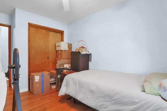 568 Swackhammer Rd, Circleville, OH 43113 - bedroom with wood finished floors and ceiling fan
