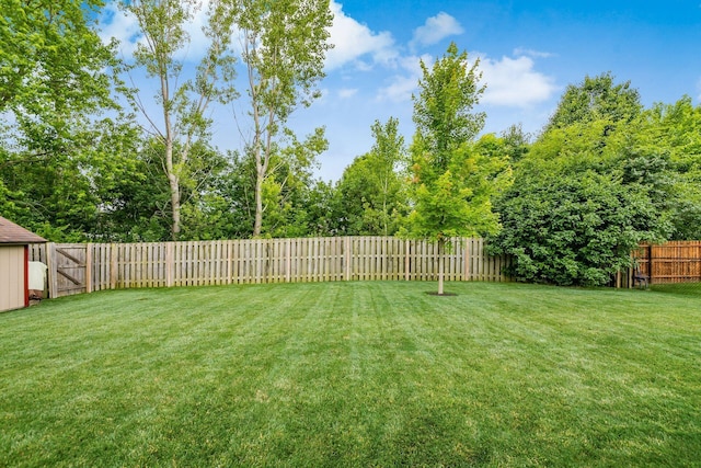4051 Tamarack Ave, Grove City, OH 43123 - view of fenced backyard