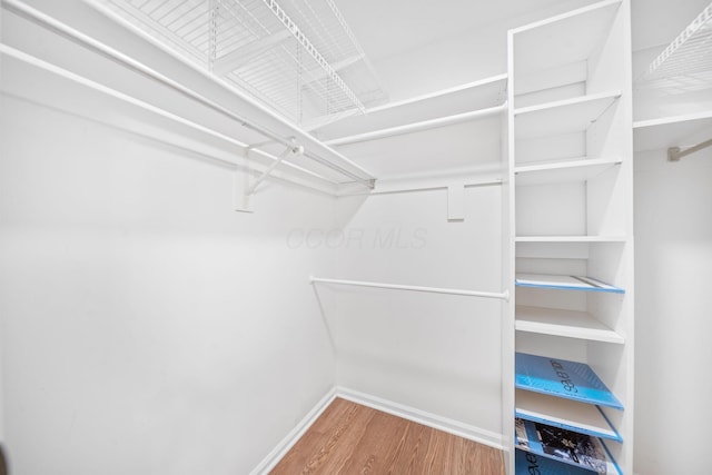 816 Coss Cir, Westerville, OH 43081 - walk in closet with wood finished floors