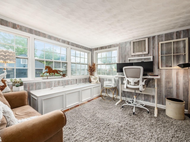 186 S Gould Rd, Columbus, OH 43209 - home office with a textured ceiling and ornamental molding