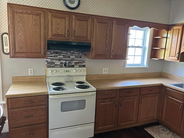 12317 State Route 188, Thornville, OH 43076 - kitchen featuring white electric range, under cabinet range hood, light countertops, and tasteful backsplash