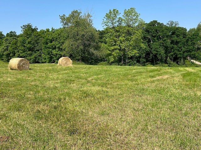 12317 State Route 188, Thornville, OH 43076 - view of yard featuring a forest view