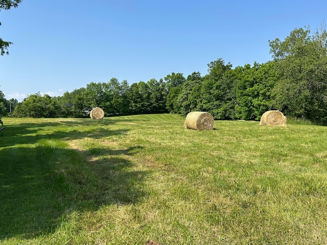 12317 State Route 188, Thornville, OH 43076 - view of grassy yard with a wooded view