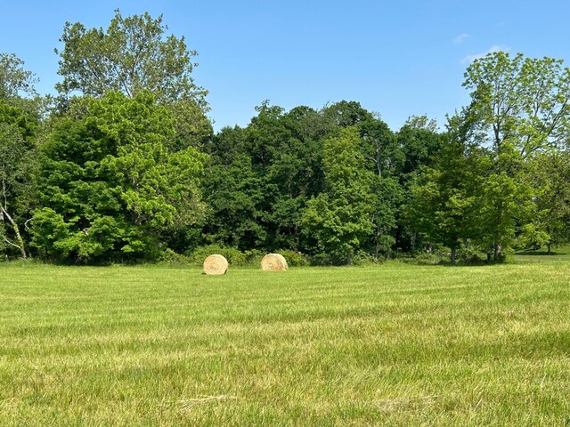 12317 State Route 188, Thornville, OH 43076 - view of yard featuring a view of trees